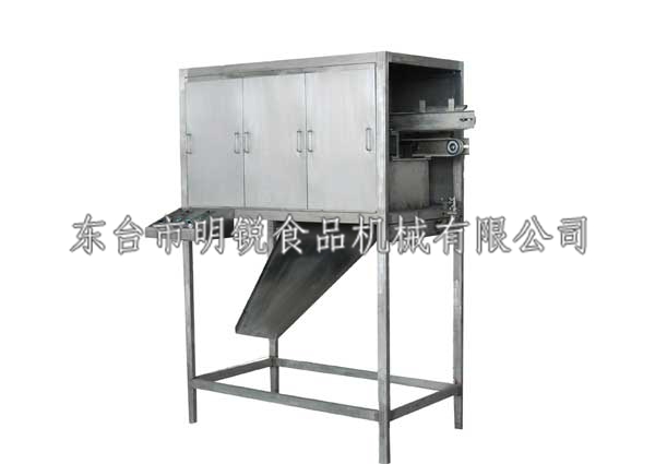 DSJ-CX枕式成型機