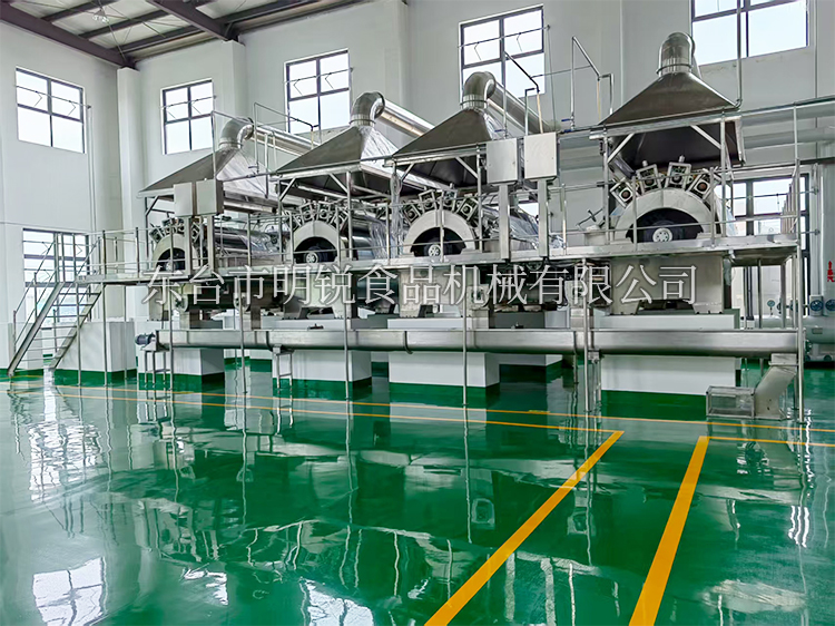 單滾筒預(yù)糊化淀粉生產(chǎn)線